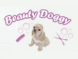 Beauty Doggy
