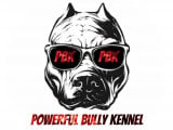 Powerful Bully Kennel