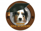 Raven Dog Academy