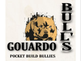 Gouardo Bulls
