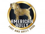 Fast and Bully Dogs France