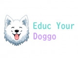 Educ Your Doggo
