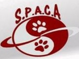 SPACA (Services Professionnels d'Accompagnement et de Comportement Animalier)