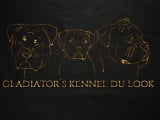Gladiators Kennel du Look