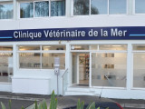 Clinique vétérinaire de la mer