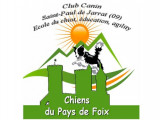 Chiens du Pays de Foix