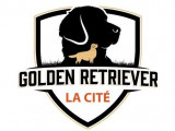 La Cité Golden retriever