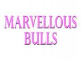 Marvellous Bulls