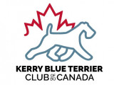 Kerry Blue Terrier Club of Canada