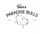 Tam’s Paradise Bulls