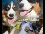 Of Jazzy Motion