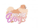 Les Minis Dogs
