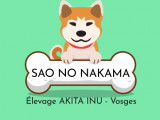 Sao No Nakama