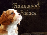 Rosewood Palace