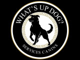 What's up dog? Services canins