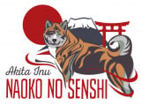 Naoko no Senshi