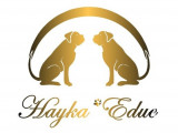 Hayka'Educ