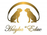 Hayka'Educ
