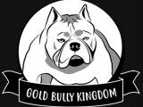 Gold Bully Kingdom