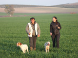 Domaine de Balthazar - Pension canine Castets