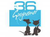 Au 36 Guynemer