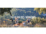Le Clan Des Shinobis