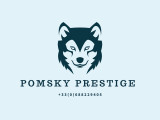 Pomsky Prestige