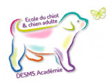Desms Académie