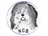 Nizziny Club Belgique