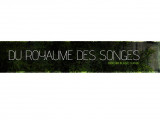 Du Royaume Des Songes