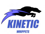 Kinetic Whippets