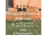 Les Ocres de Provence