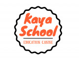 Kaya School