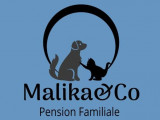 Malika & Co