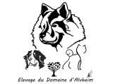 Du Domaine d'Alvheim