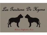 Des Gardiens De Hyena