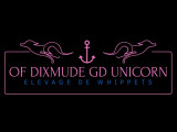 Of dixmude GD Unicorn