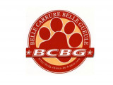 BCBG Belle Carrure Belle Gueule