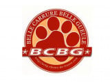 BCBG Belle Carrure Belle Gueule