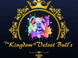 The Kingdom of Velvet Bulls