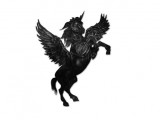 De la Licorne Noire