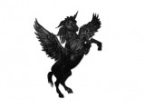 De la Licorne Noire