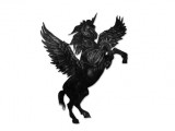 De la Licorne Noire
