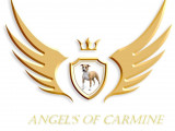 Angel's Of Carmine