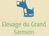 Du Grand Samson