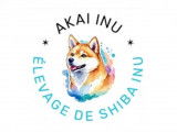 Akai Inu
