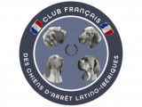 Club Français des Chiens d’Arrêt Latino-Ibériques