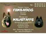 Familydog