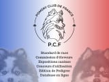 Pomsky Club de France (PCF)