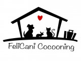 Felicani Cocooning